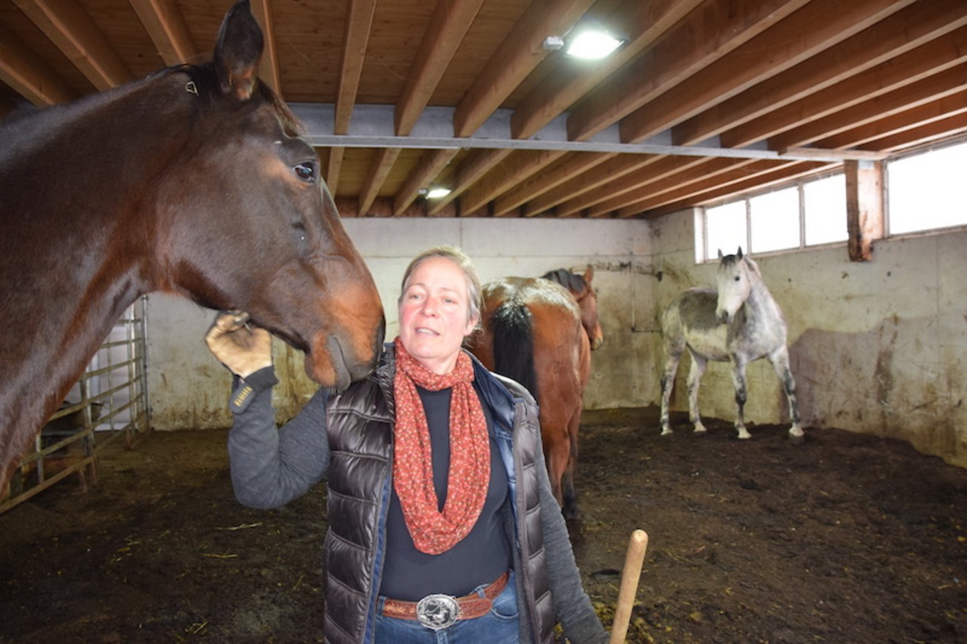 Die Pferde sind die Leidenschaft der ganzen Familie.