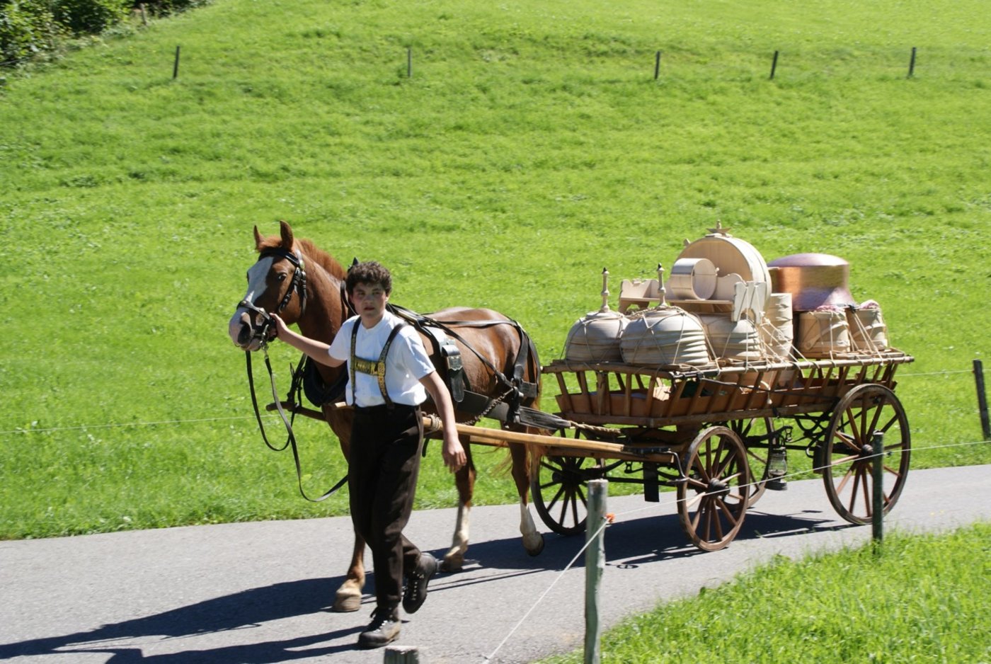 Samuel führt sein Pferd Alexandra vor der Ledi.