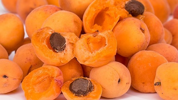 Aprikosen und andere Obstsorten erleiden Sonnenbrände und reifen nicht mehr. (Bild Pixabay)