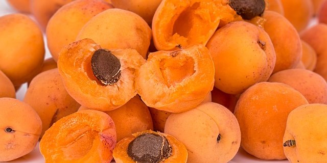 Aprikosen und andere Obstsorten erleiden Sonnenbrände und reifen nicht mehr. (Bild Pixabay)