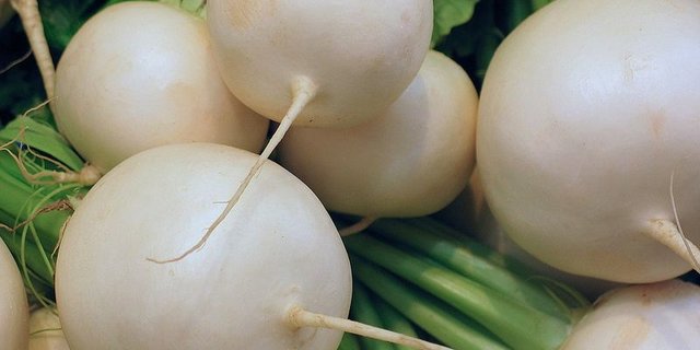 Der Rettich kann rund oder lang und dünn, rot oder weiss sein. (Pixabay) 