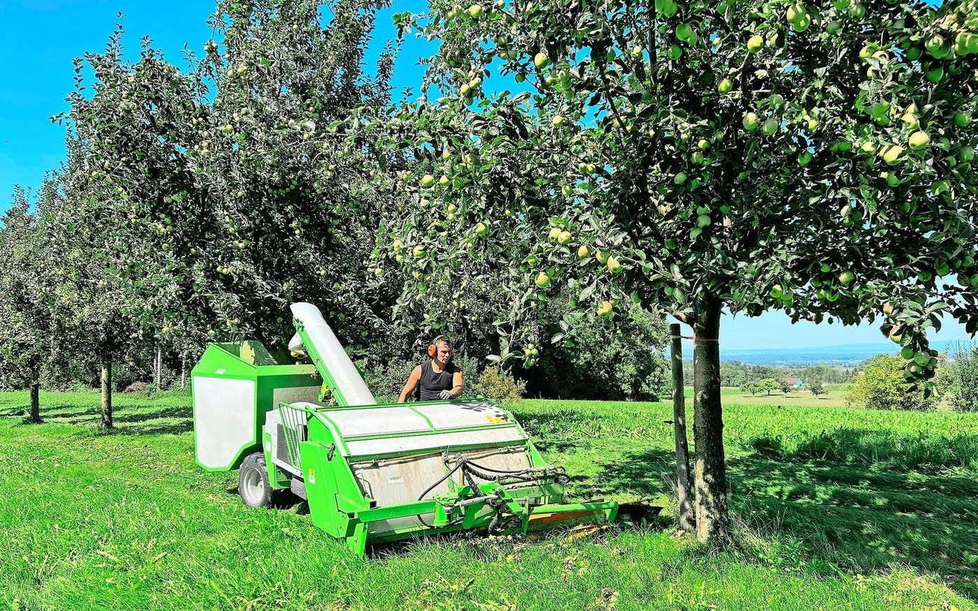 «Wir sind gut mechanisiert», sagt der Betriebsleiter. Er setzt eine Auflesemaschine ein, die das Mostobst rasch und schonend aufsammelt.