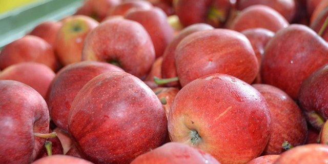 Noch sind Äpfel der letzten Ernte an Lager. (Symbolbild Armin Emmenegger)