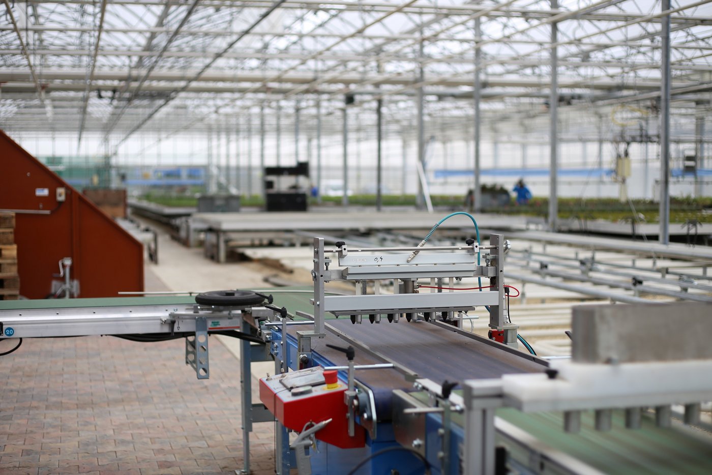 Die Huplant Pflanzenkulturen AG produziert selber Gemüsesetzlinge sowie Saisonflor, Stauden und Kleingehölze; alle torffrei und bio. Auf dieser Produktionsstrasse werden die Samen in den Substrattopf gesät.