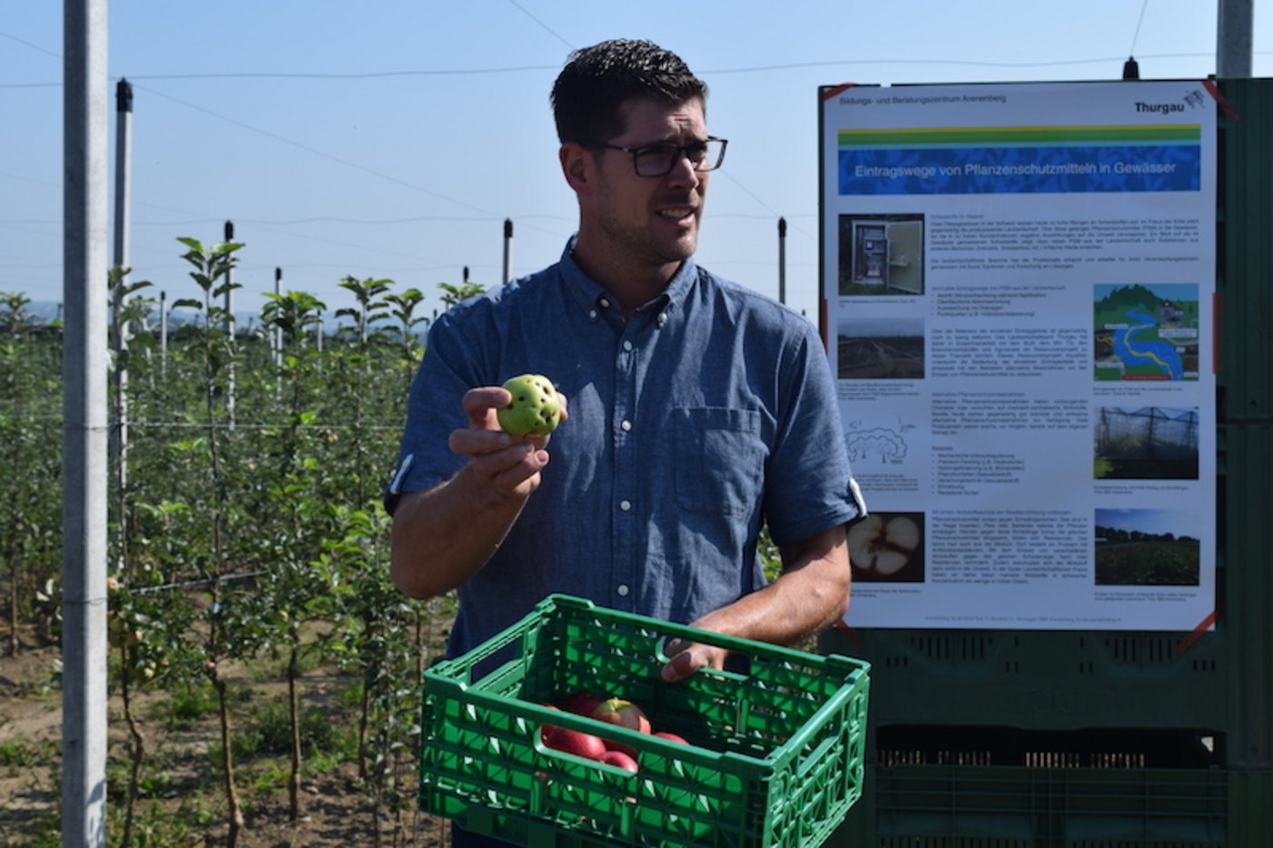 Dieser Apfel hat Hagelschäden.