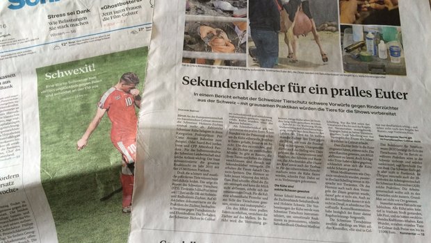 Die "Sonntagszeitung" thematisiert heute die Praktiken gewisser Spitzenzücher an der EM in Colmar. 