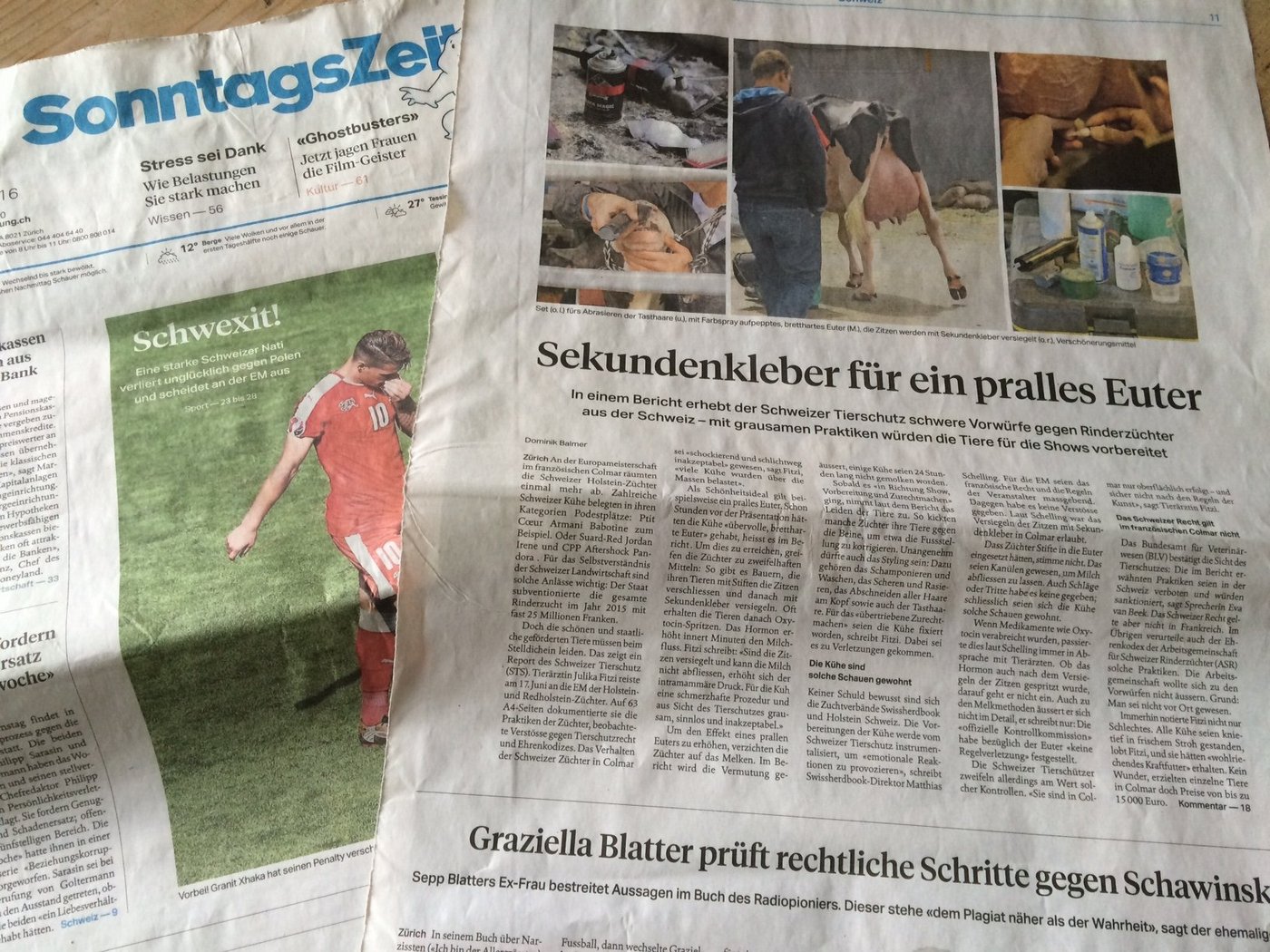 Die "Sonntagszeitung" thematisiert heute die Praktiken gewisser Spitzenzücher an der EM in Colmar. 