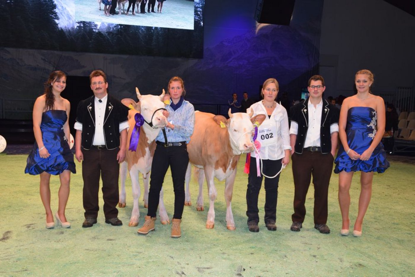 Junior-Champion: Clos-Derrey Amarone Shakira (rechts), Christophe Rey, Le Châtelard. Vize-Junior-Champion: Kilian Donau von Patrick Matti, Turbach. 