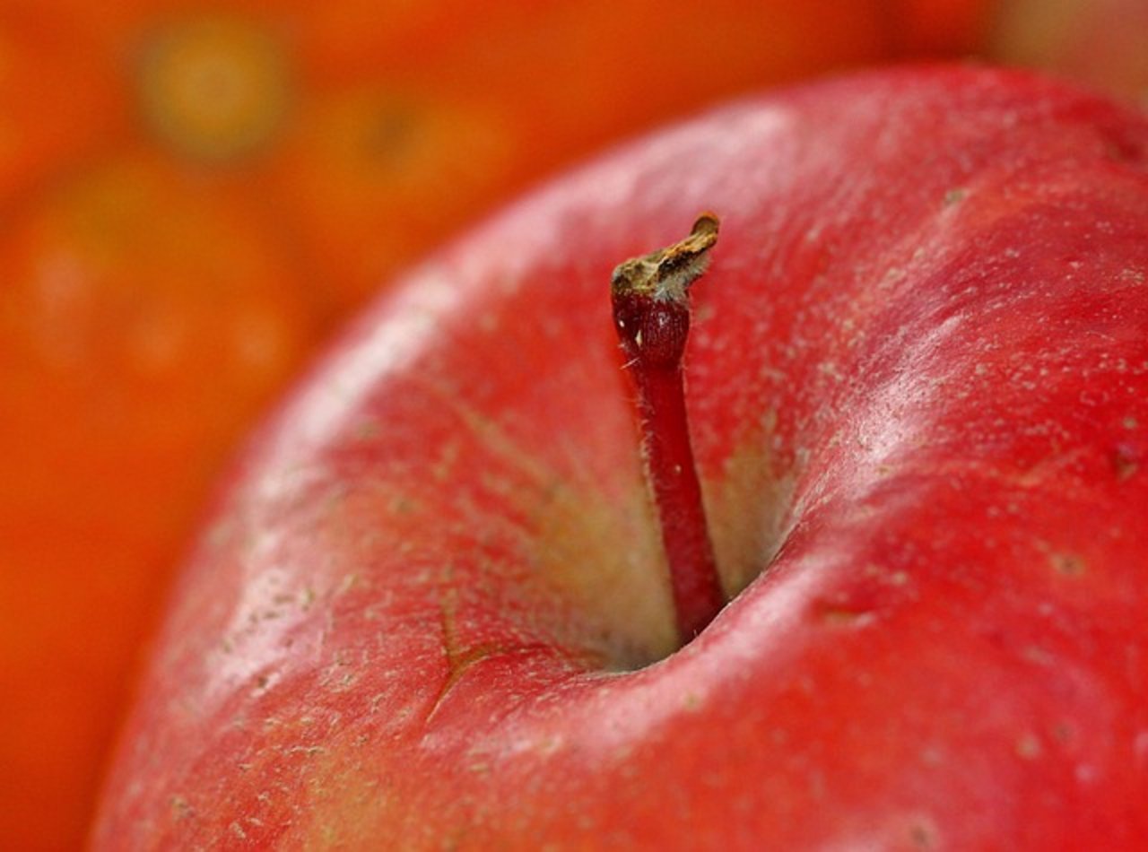 Laut dem Schweizer Obstverband harzte es im Herbst beim Absatz der Tafeläpfel. (Symbolbild Pixabay)
