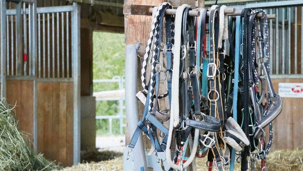 Währenddem im Stall eingestreut oder gemistet wird, sollten sich die Pferde wegen der Staubbelastung vorzugsweise draussen aufhalten.