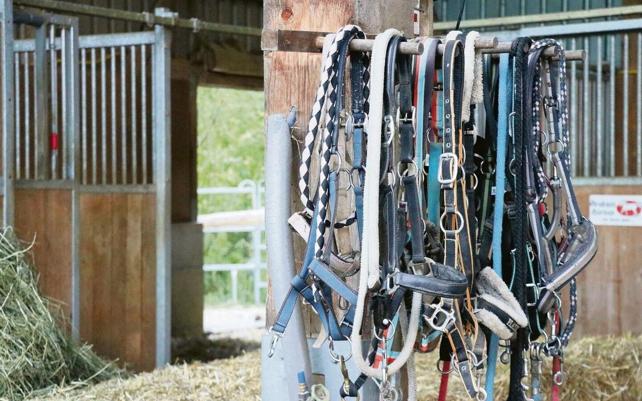 Währenddem im Stall eingestreut oder gemistet wird, sollten sich die Pferde wegen der Staubbelastung vorzugsweise draussen aufhalten.