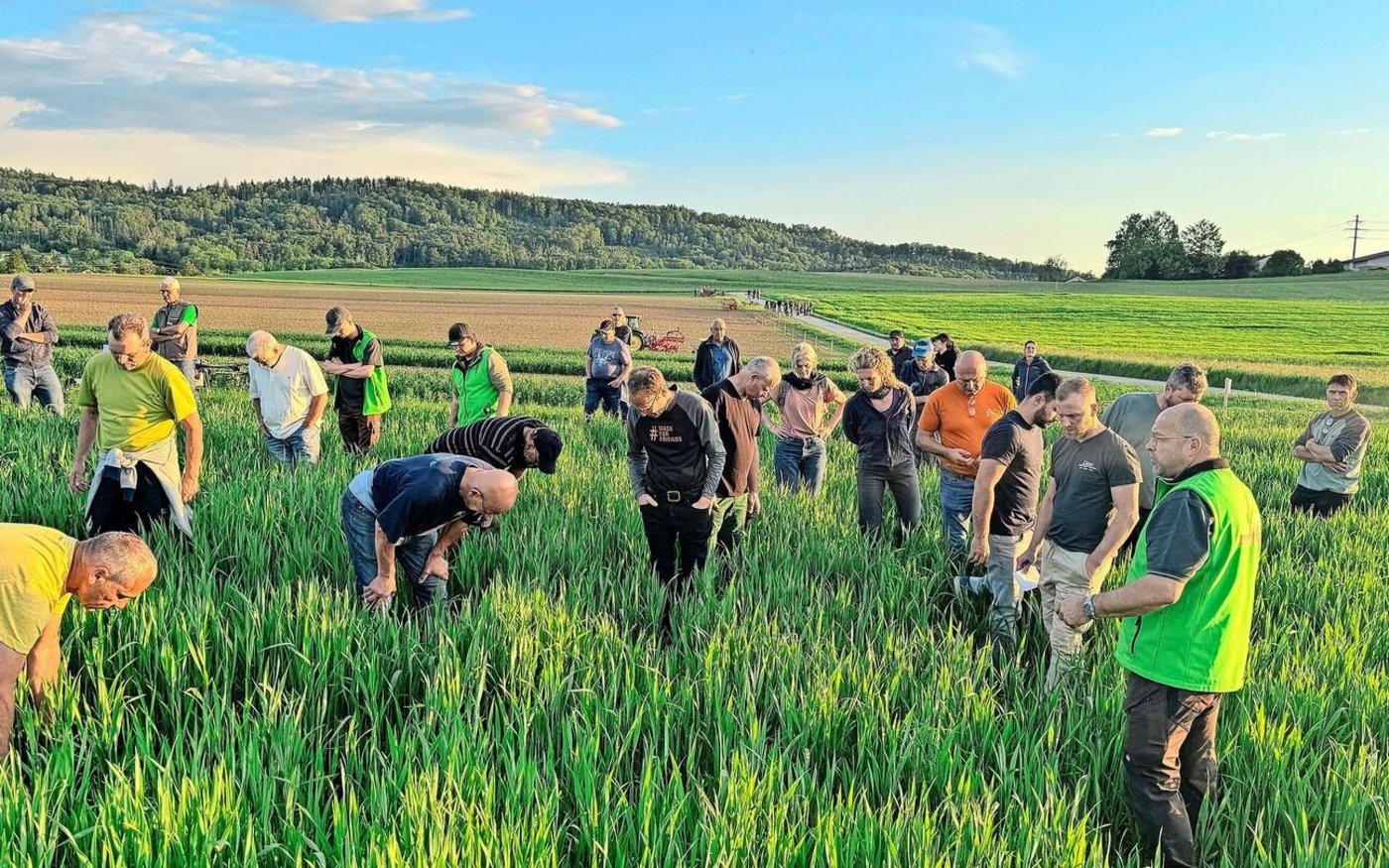 Wo ist die Untersaat? «Kommt herein und schaut sie euch an», lädt Daniel Füchter (vorne rechts mit grüner Weste) die Teilnehmer des Flurgangs in die Kultur ein.