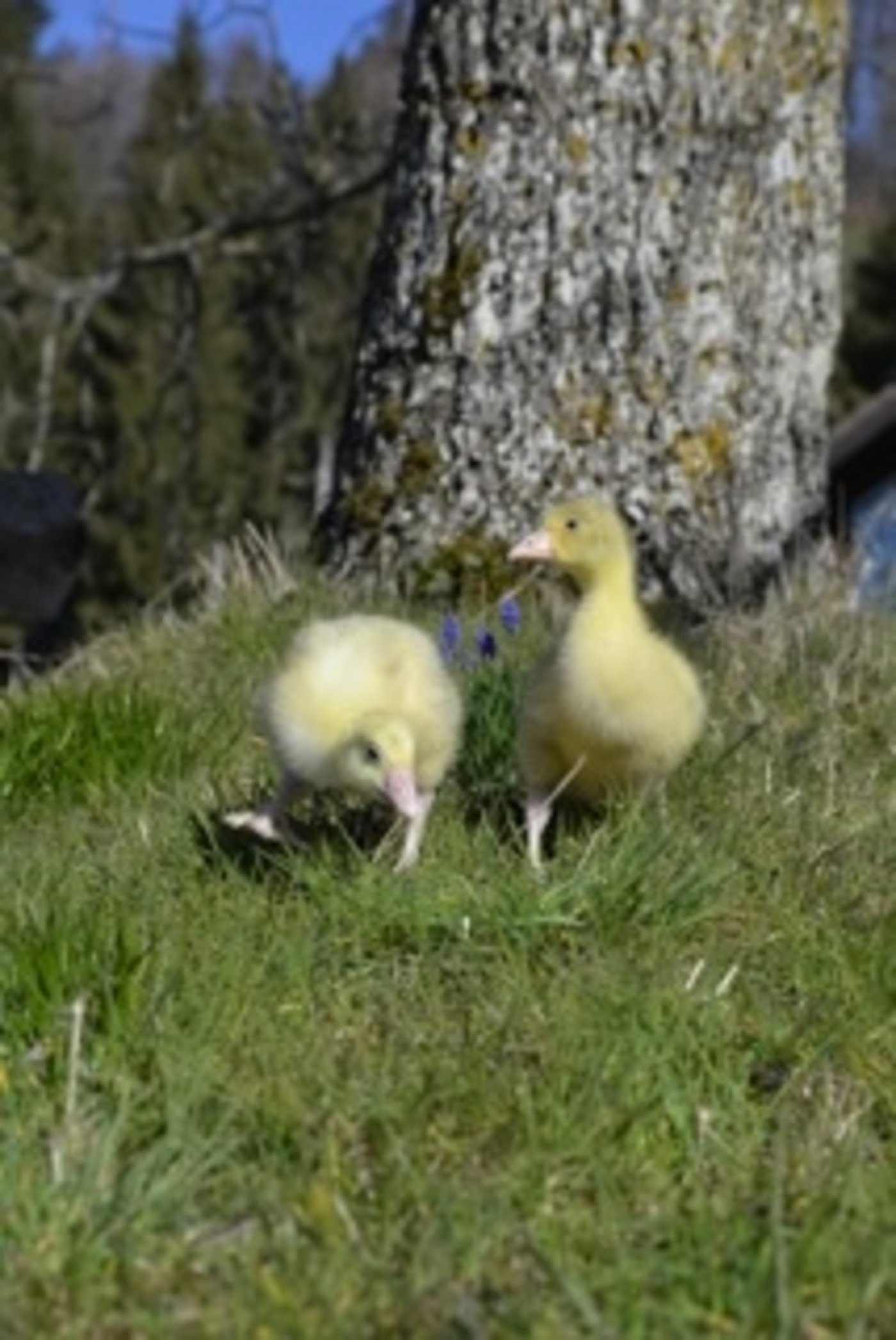 Die Landwirtschaft bietet eine Vielzahl an schönen Motiven. Man muss sie nur entdecken.
