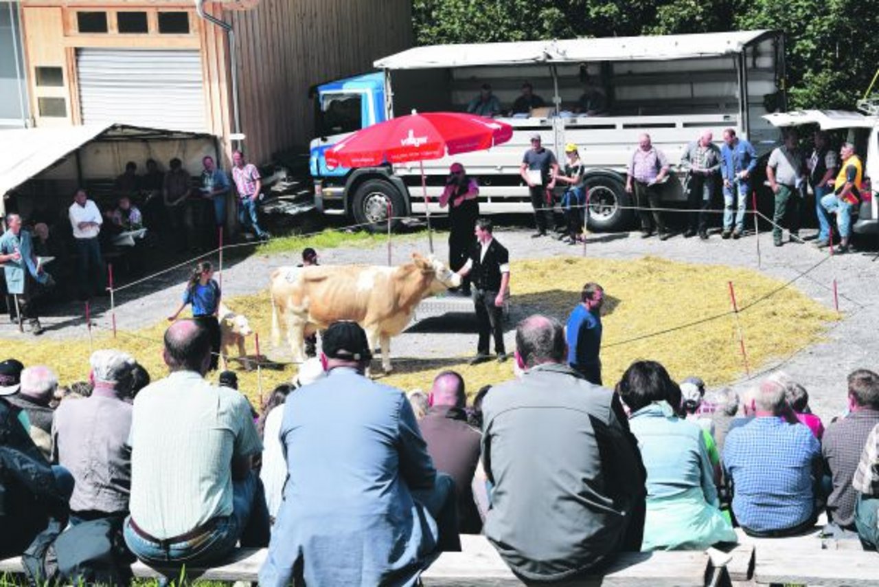 Grosser Andrang bei der Auktion in Springenboden. (Bild Daniela Joder)