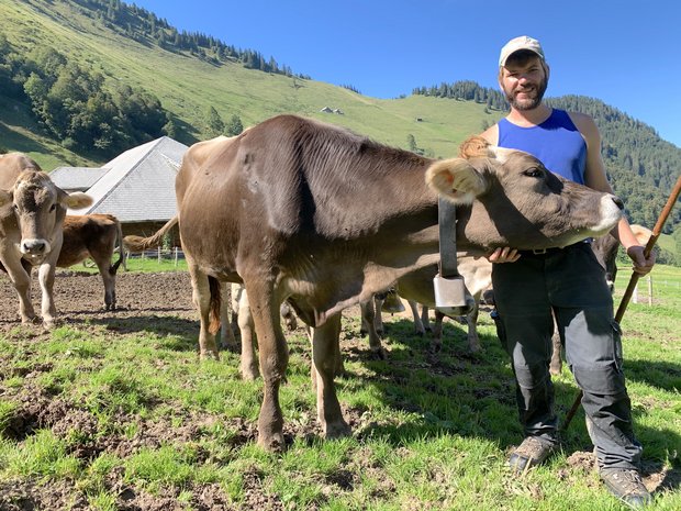 Der Buochser Ruedi von Büren betreut seit diesem Jahr das Jungvieh von Luzerner Bauern auf der Genossenschaftsalp Alpelen oberhalb Beckenried. (Bilder js)