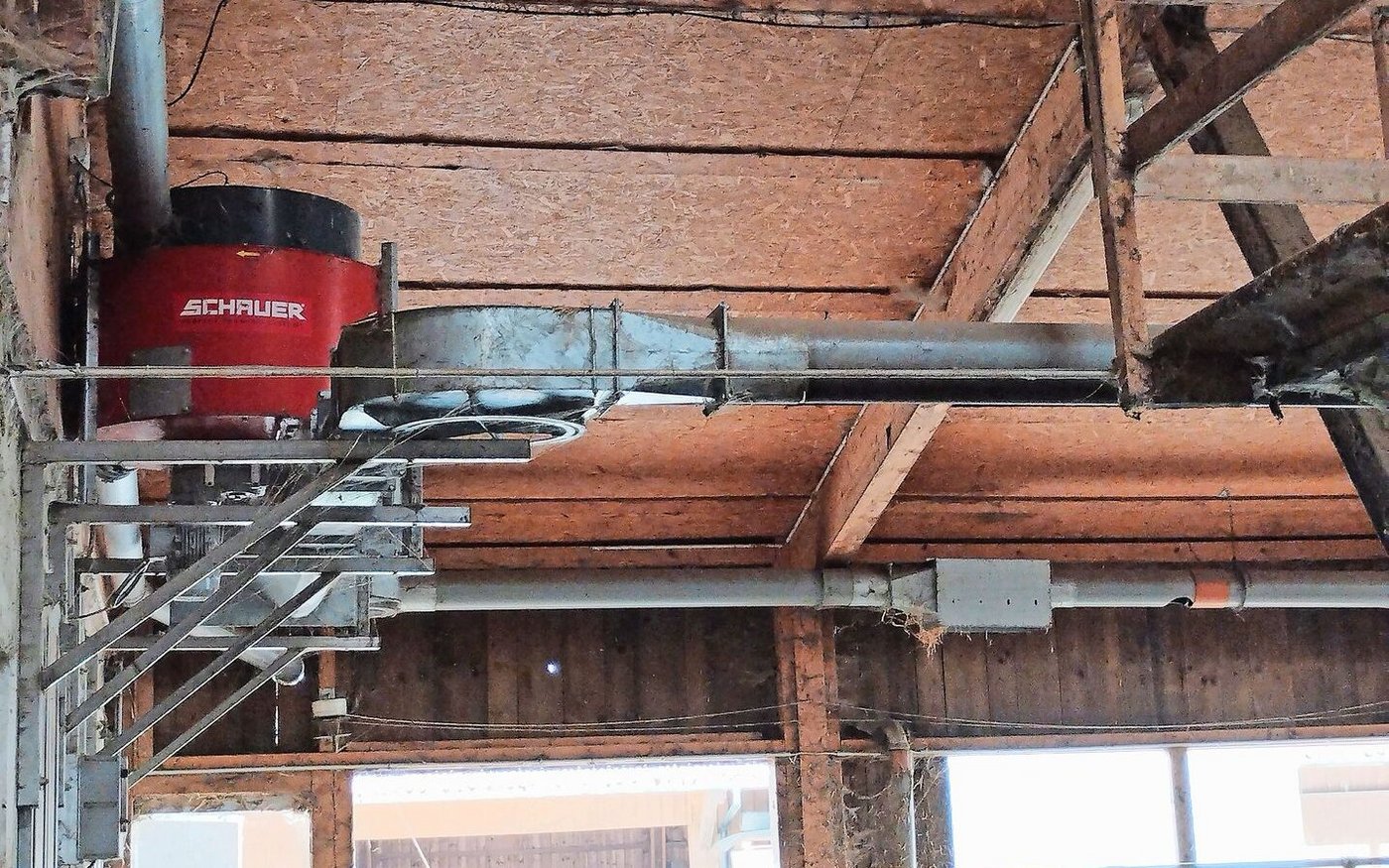 Einstreuen ist oft mit hohem Arbeitsaufwand verbunden. Nicht so bei Christian Kern. Die Einstreuanlage bewährt sich. 