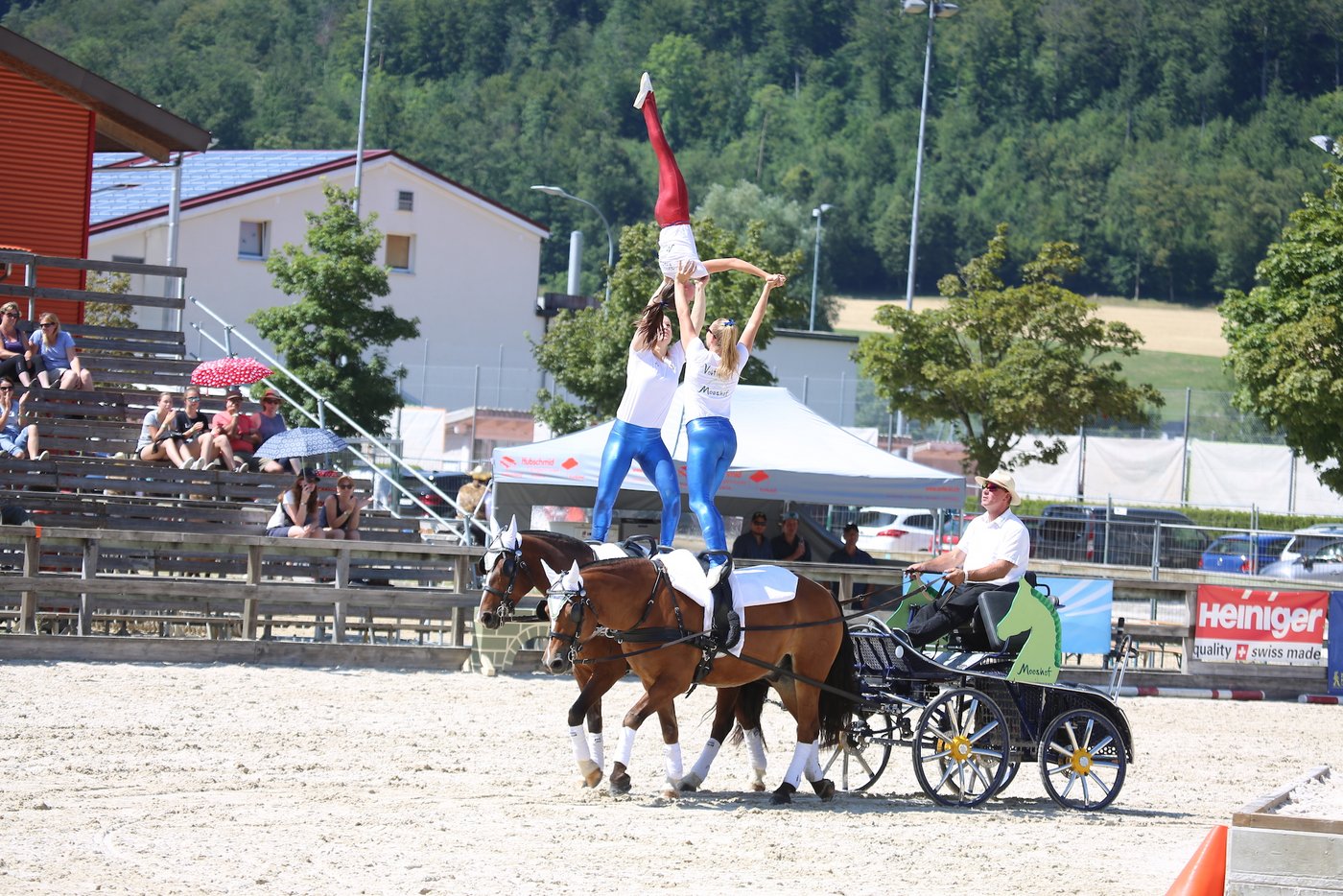 Das Team vom Mooshof.