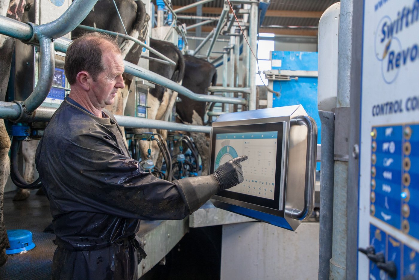 Das neue Melksystem aus Irland schafft eine gläserne Kuh. (Bild zVg)