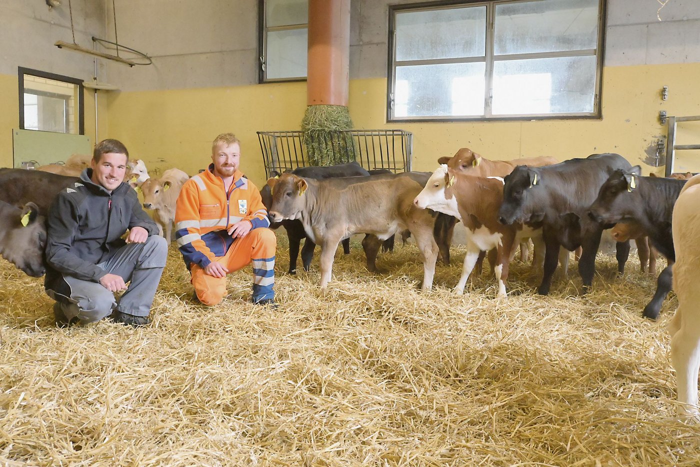 Fabian Hüsler (links) und sein Lehrling Philipp Müller wissen, dass es bei jungen Kälbern nicht viel erleiden mag, damit sie krank werden. (Bild Jasmine Baumann)