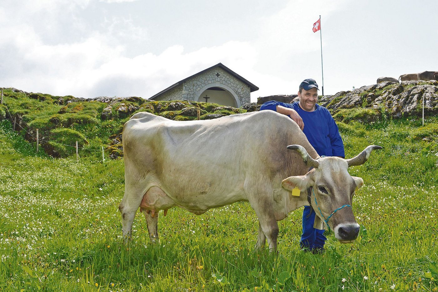 Michael Gwerder mit Enziane, die heuer schon den 18. Alpsommer auf der Pragelpasshöhe verbringt. (Bild Guido Bürgler)