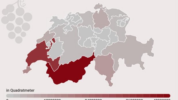 Die Kantone Wallis und Waadt bilden die führende Weinregion der Schweiz. (Infografik lid)