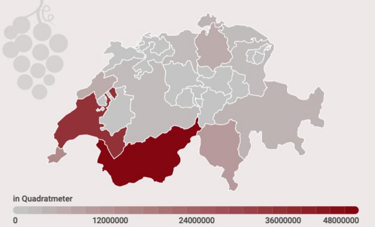 Die Kantone Wallis und Waadt bilden die führende Weinregion der Schweiz. (Infografik lid)