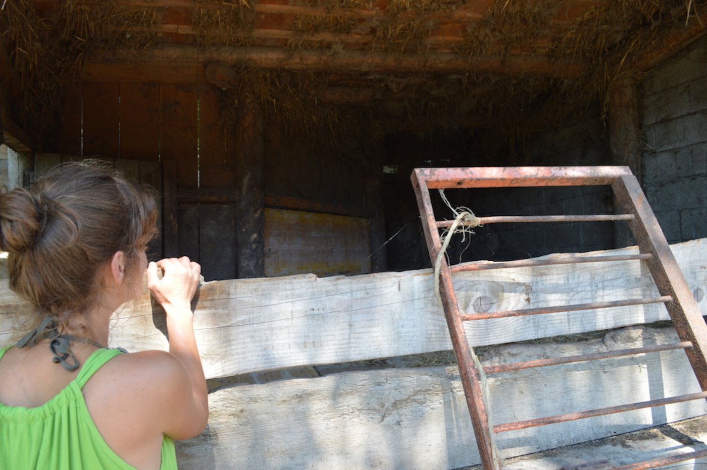 Die Schweine haben einen Aussen-und Innenbereich.