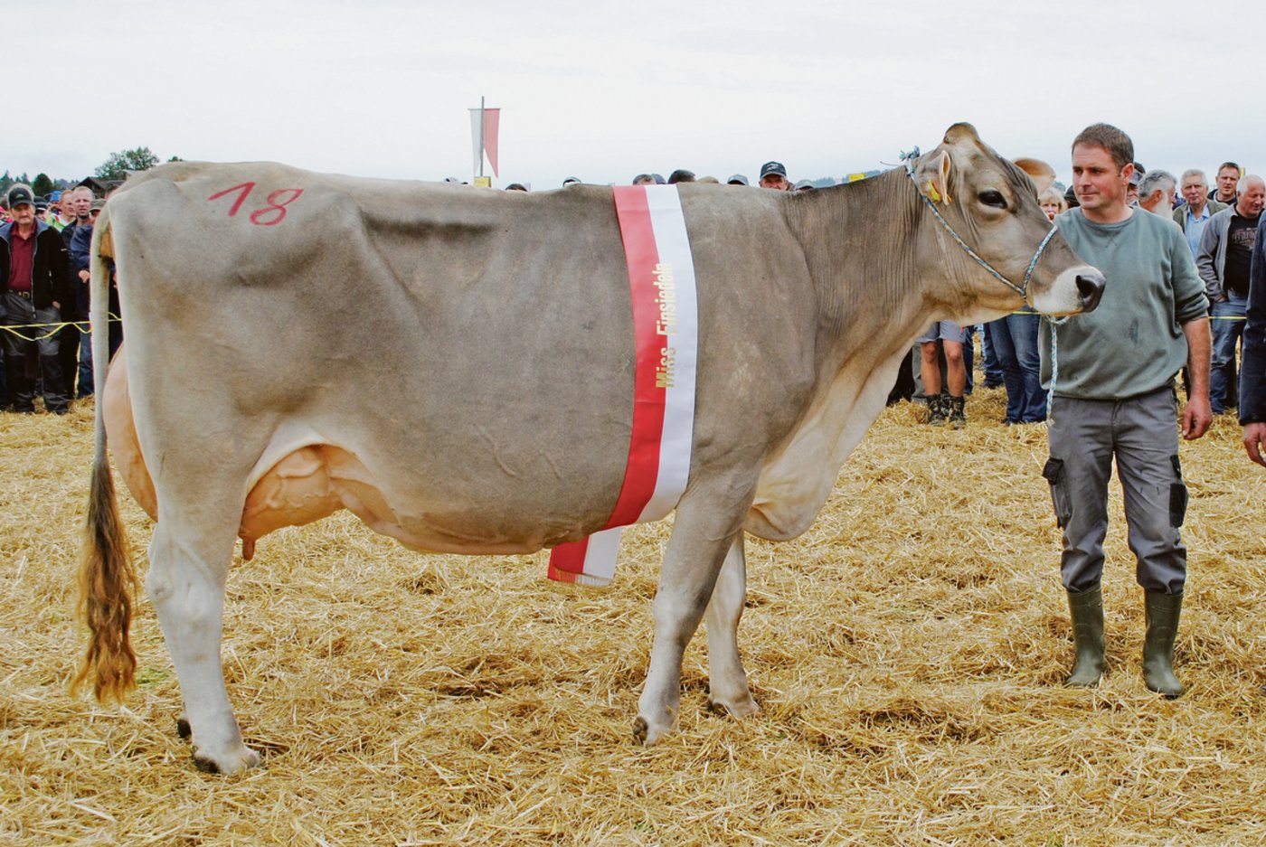 Miss Einsiedeln Silverstar Donau von Roland Kälin, Euthal. 
