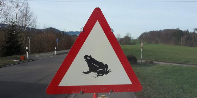 Bei diesem Warnschild sollte Autfahrer/in in den Abendstunden langsam fahren. (Bild zVg)