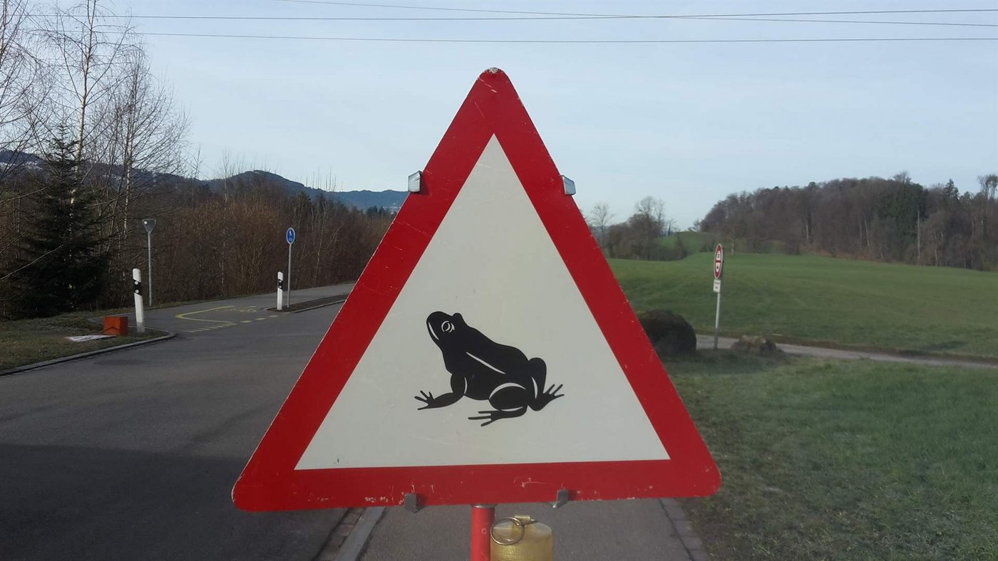 Bei diesem Warnschild sollte Autfahrer/in in den Abendstunden langsam fahren. (Bild zVg)