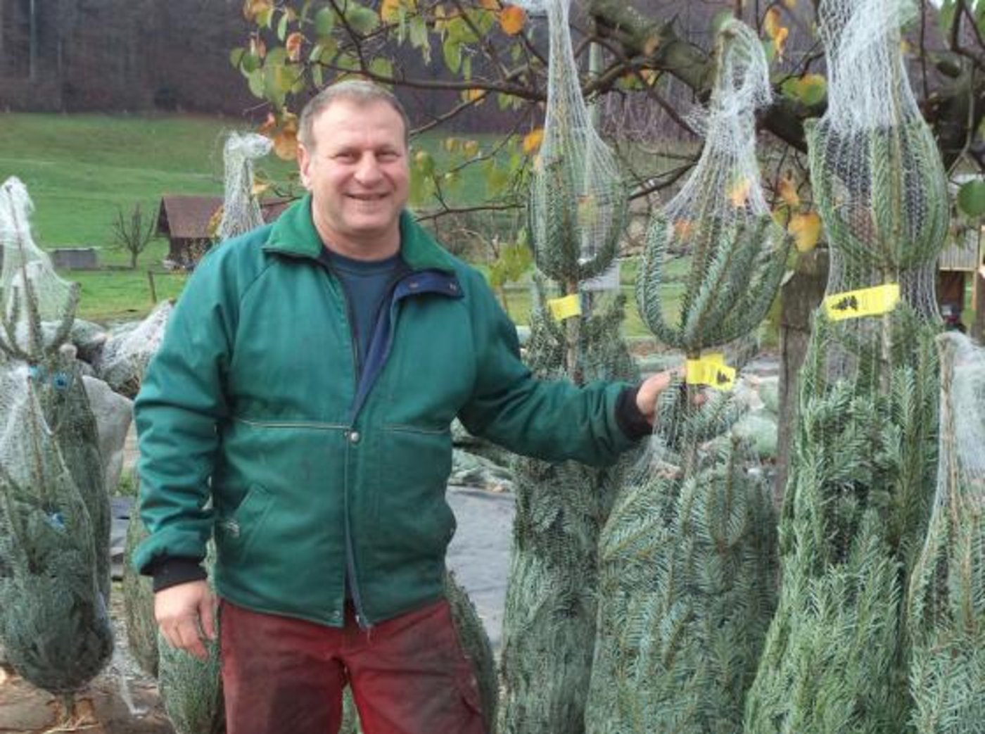 Hans-Peter Luder produziert eine Vielzahl von Baumsorten. Saisonhöhepunkt ist der Wiehnachtbaummärit. (Archivbild lid/le)