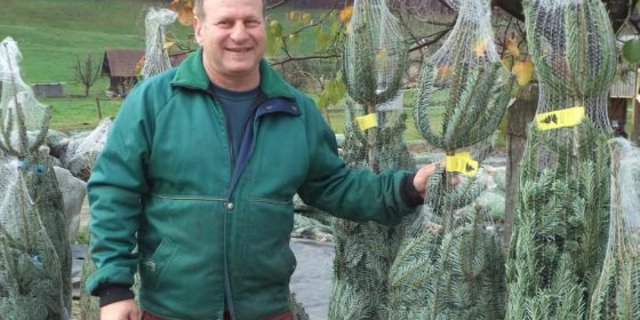 Hans-Peter Luder produziert eine Vielzahl von Baumsorten. Saisonhöhepunkt ist der Wiehnachtbaummärit. (Archivbild lid/le)