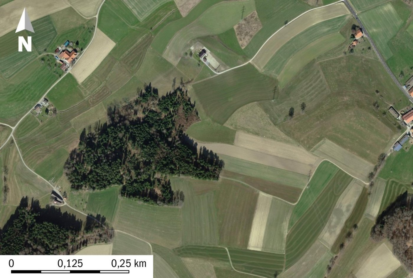 Durch kleine und unförmige Parzellierungen entstehen eine schlechte Arrondierung und lange Wegstrecken, die Mehrkosten und -aufwand für den Landwirt verursachen. (Bilder Bundesamt für Landestopografie, Staat Freiburg) 