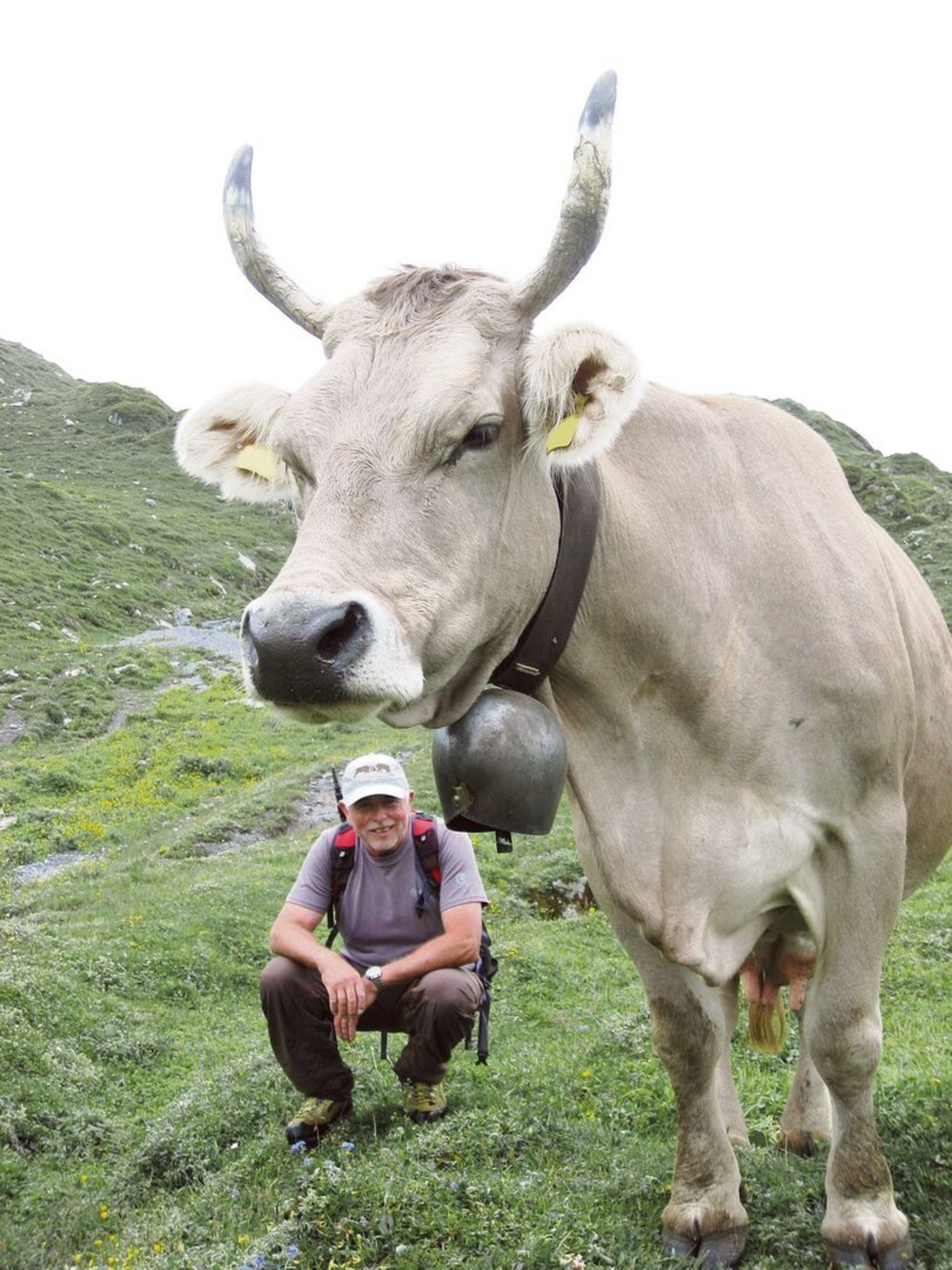 Während seiner Zeit bei der KSV setzte sich der gebürtige Zweisimmer auch für die Erhaltung der Braunviehrasse ein.
