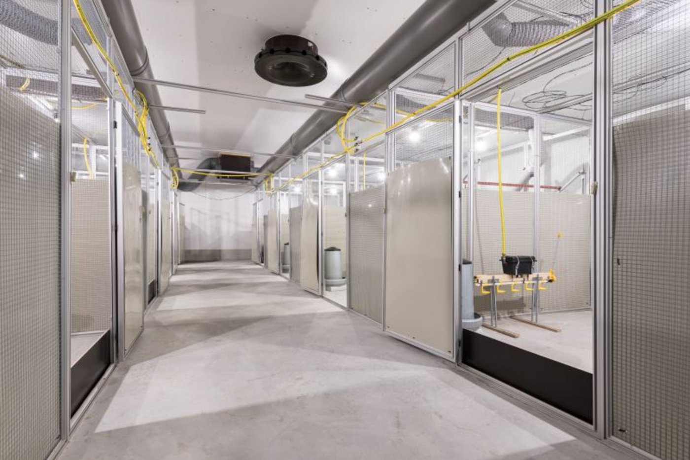 Kleiner Versuchsstall, eingerichtet mit acht Versuchsabteilen für je 30 Legehennen. Jedes Abteil kann separat kontrolliert belüftet werden. (Bild z.V.g.)