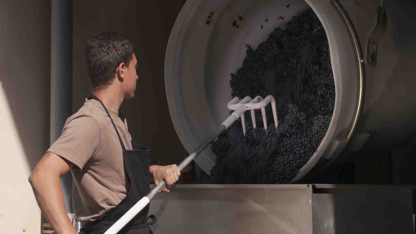 An den zweiten nationalen SwissSkills sind diesmal auch die Lernende aus den beiden Weinberufen am Wettbewerb dabei. (Bild zVg)