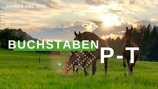 Jahresrückblick 2019 - Buchstaben P-T (Bild BauZ)