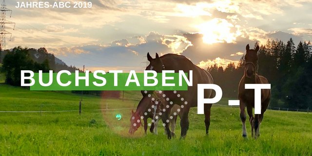 Jahresrückblick 2019 - Buchstaben P-T (Bild BauZ)