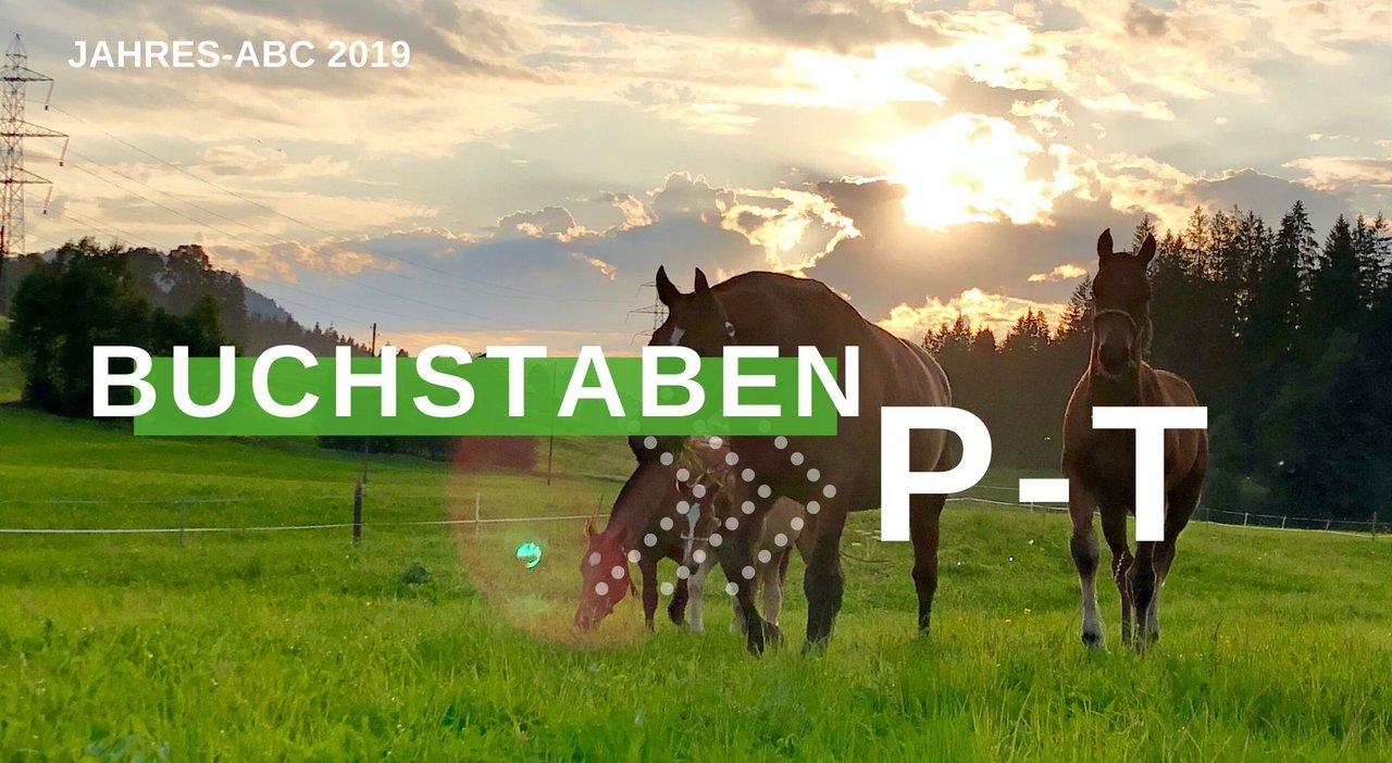 Jahresrückblick 2019 - Buchstaben P-T (Bild BauZ)