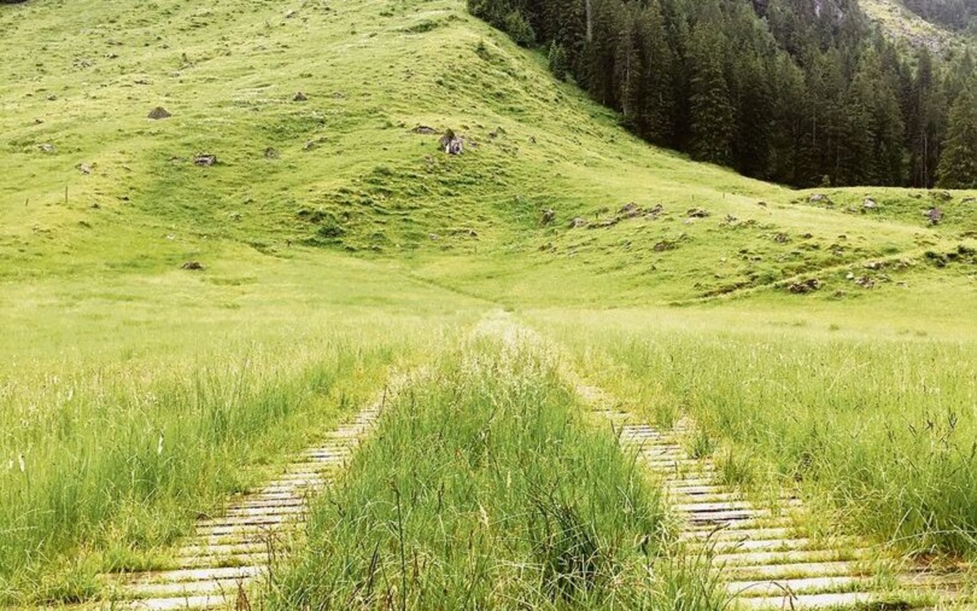 Bestehende Erschliessung mit Holzplanken.