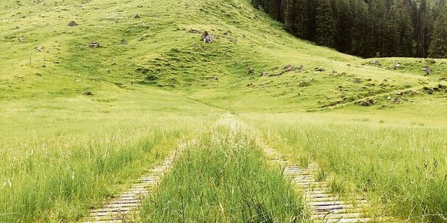 Bestehende Erschliessung mit Holzplanken.