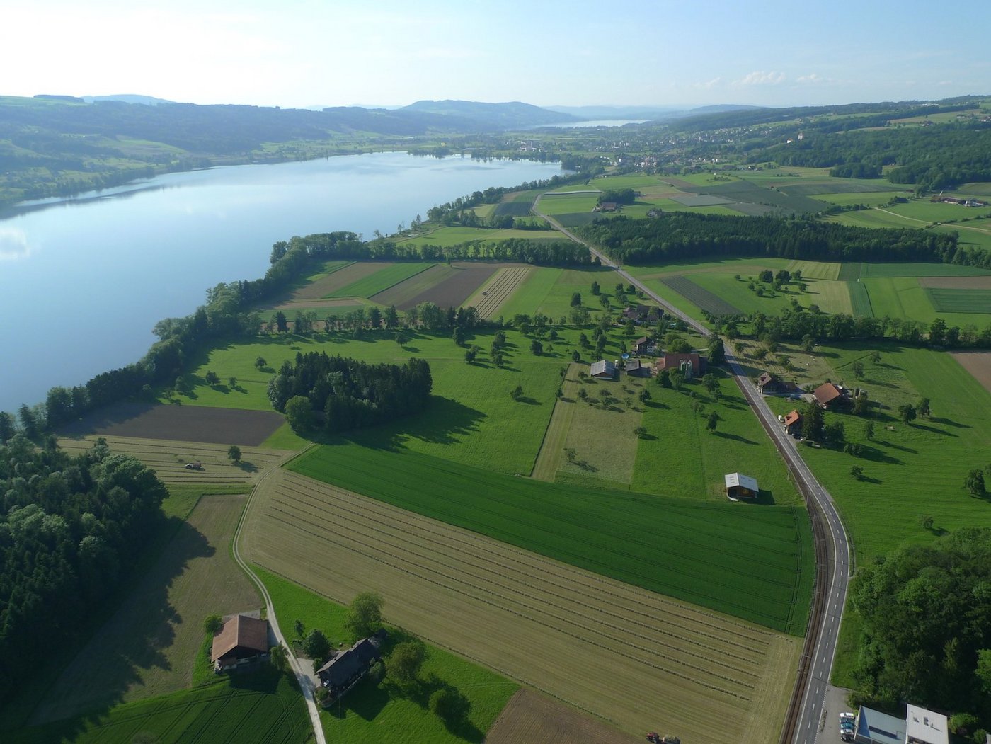 Landwirtschaftliche Flächen am Baldeggersee. Viele Böden haben einen hohen Phosphor-Vorrat. (Bild zVg)
