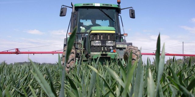 Eine Mehrheit des Zürcher Kantonsparlament will keine Pestizide mehr auf kantonseigenen Flächen. (Bild SBV)