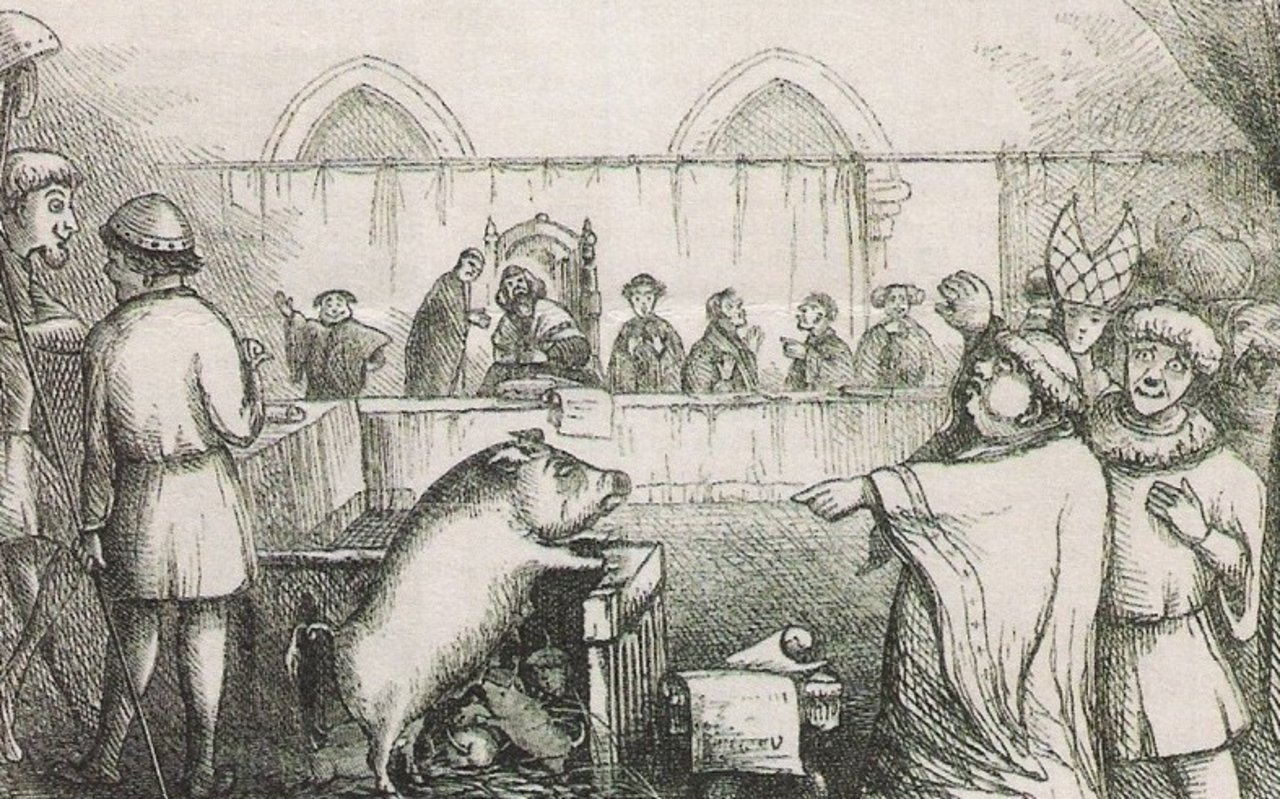 Im 15. Jahrhundert wurde ein Prozess gegen ein Schwein und seine Ferkel geführt. (Bild Histoire de la folie)