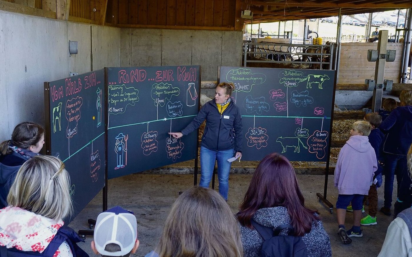 «Vom Kalb zur Kuh» war ein Posten am Liebegger Tag. Er fand direkt im Stall statt.
