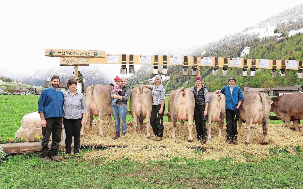Familie Föhn, Muotathal, konnte 16 euterstarke Kühe von OB-Stier Romeo zeigen.