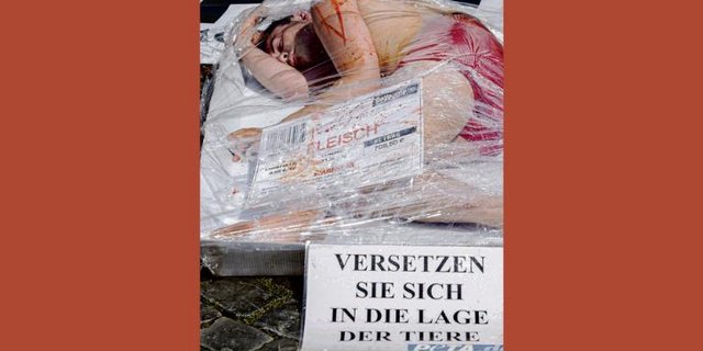 Ein Aktivist hat sich bei einer Demonstration in Basel als Fleischstück in Cellophan gewickelt. Mit solchen Aktionen verschafft sich Peta Aufmerksamkeit. (Bild Keystone/Andreas Frossard)