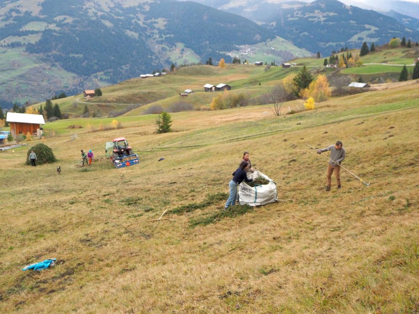 An den Schnuppertagen im November wurde auf der Alp Glivers von Michael Alig in Obersaxen GR z. B. eine gefällte Tanne weggeräumt. (Bild bergsolawi.ch)