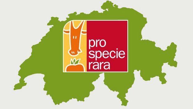 Pro Specie Rara setzt sich für den Erhalt von bedrohten Obstsorten ein. Kürzlich wurde die aktuelle Rote Liste veröffentlicht. (Bild Pro Specie Rara)