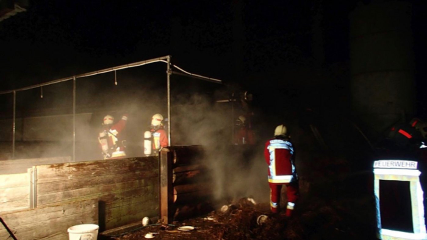 Der Sachschaden wird auf mehrere zehntausend Franken geschätzt.